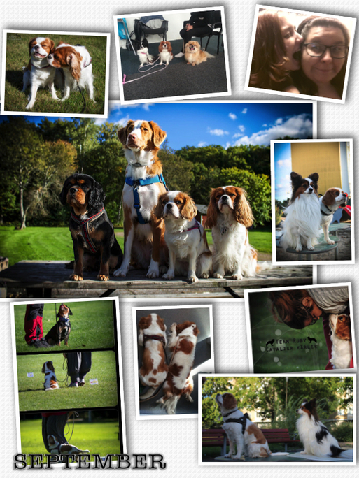 Blog Archives Ruby Paw�s